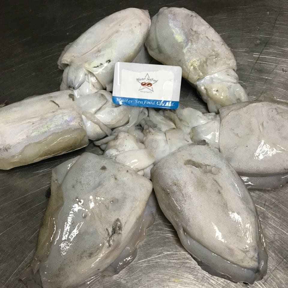 Cuttle Fish 